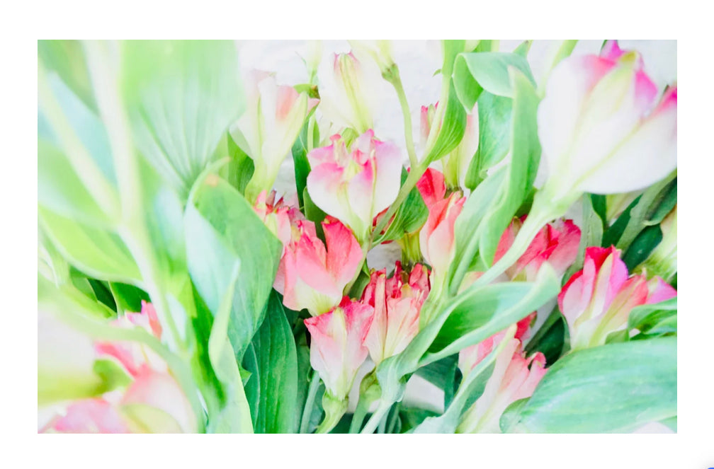 Unframed Botanicals