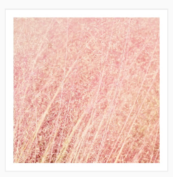 Pink Fluff