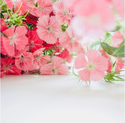 Abundance