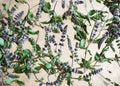 Herbal Glamour