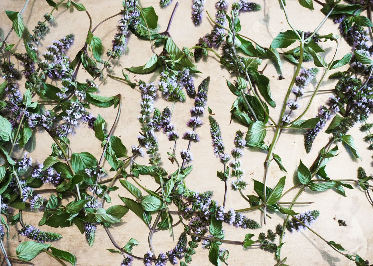 Herbal Glamour