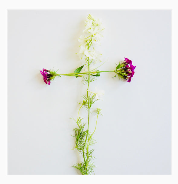 Christ Centered