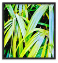 Tropic
