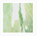 Green Go