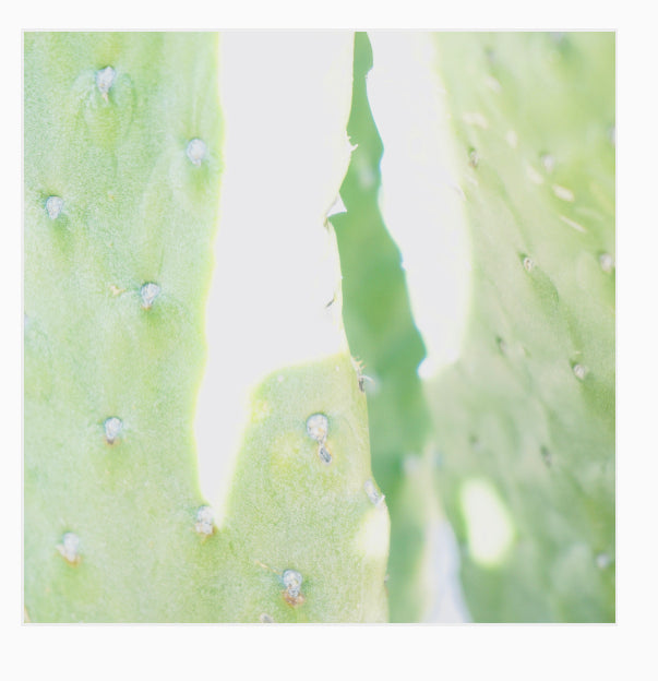 Green Go