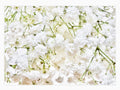 Popflower