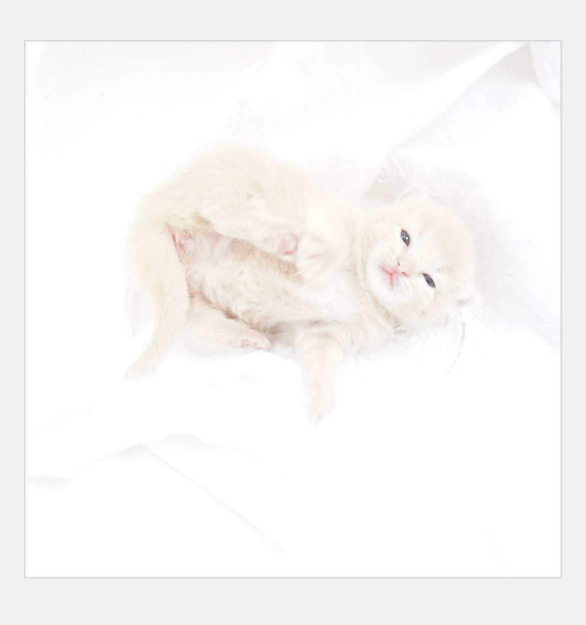 Waking Up