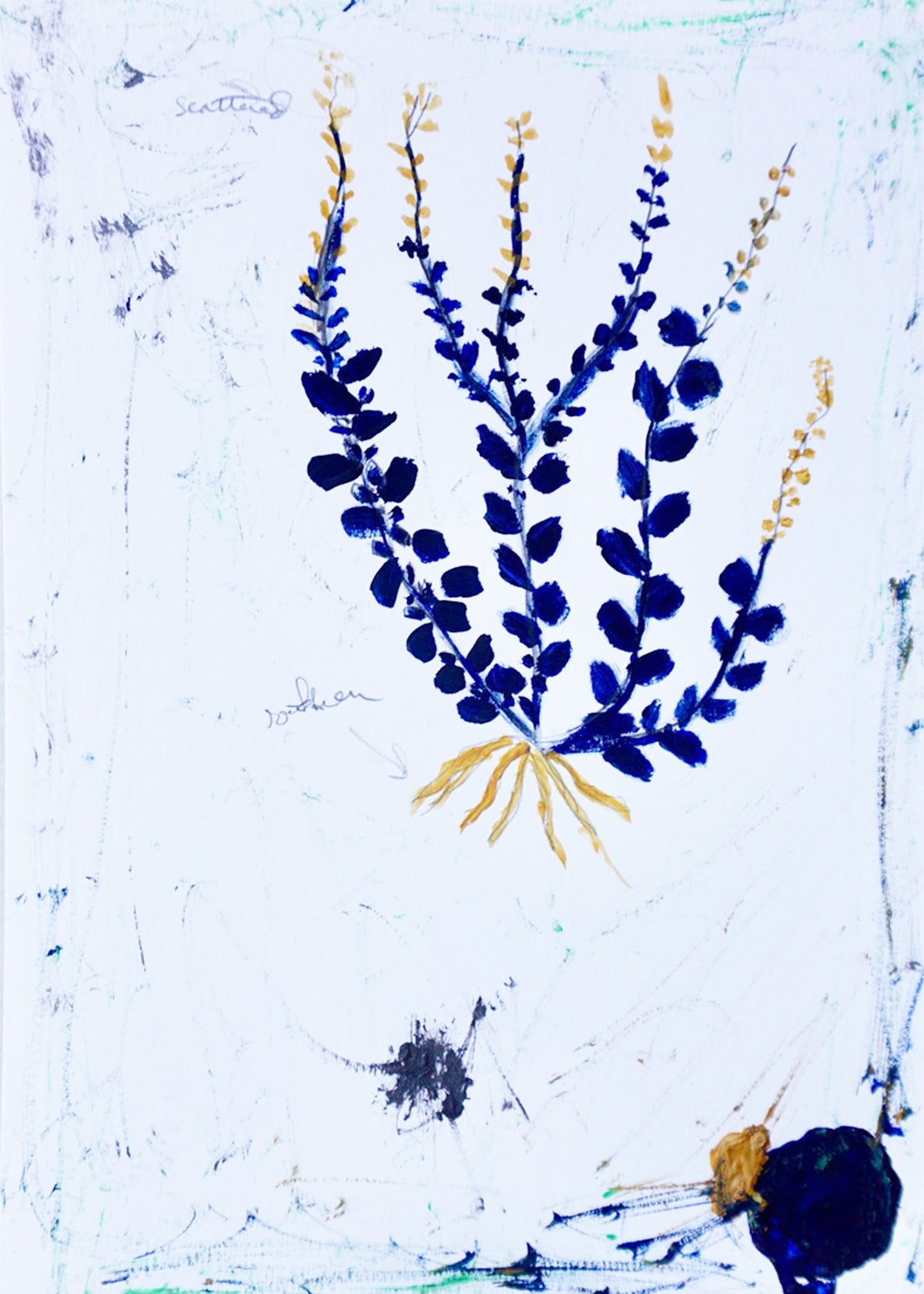 Indigo