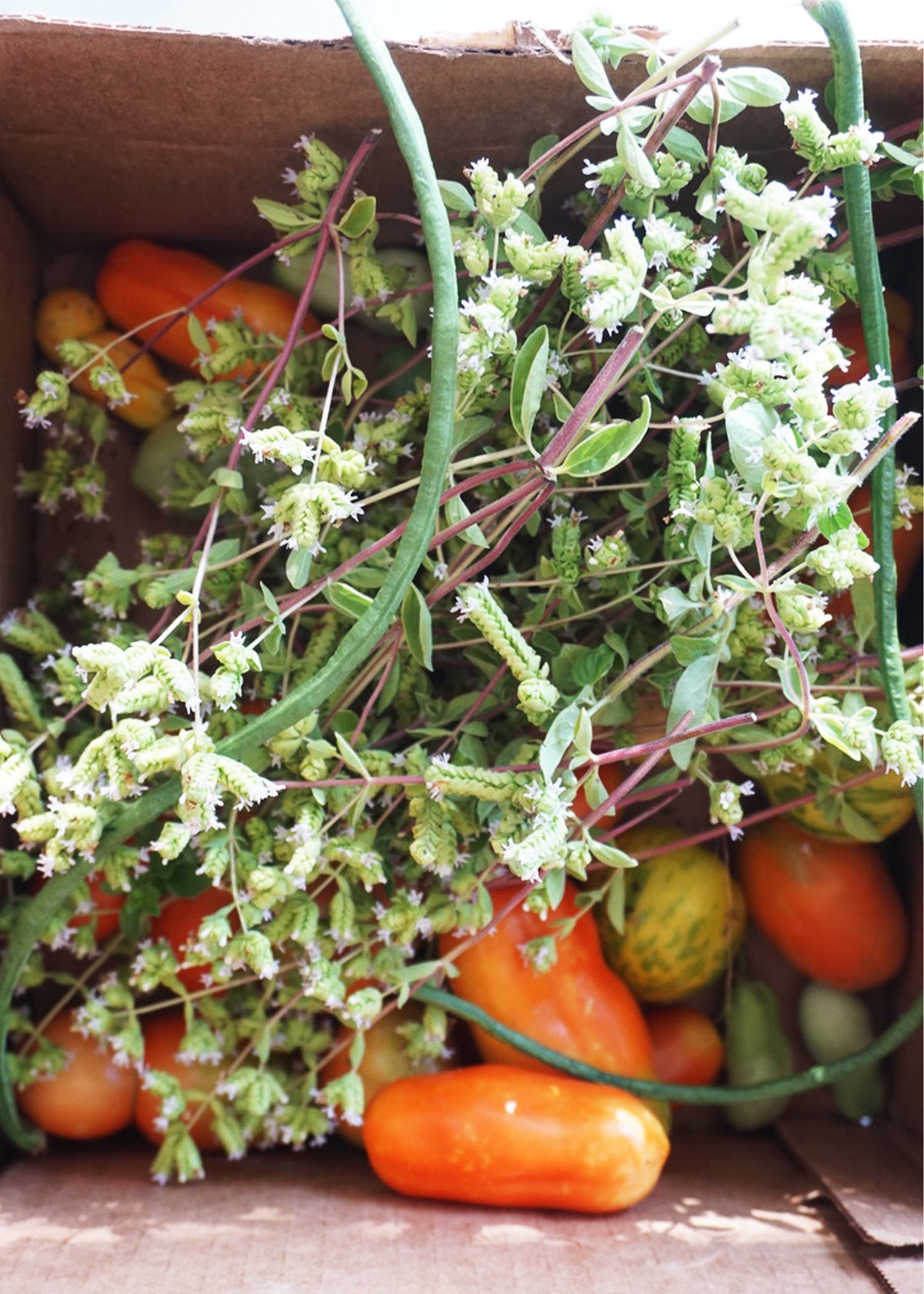 June Harvest