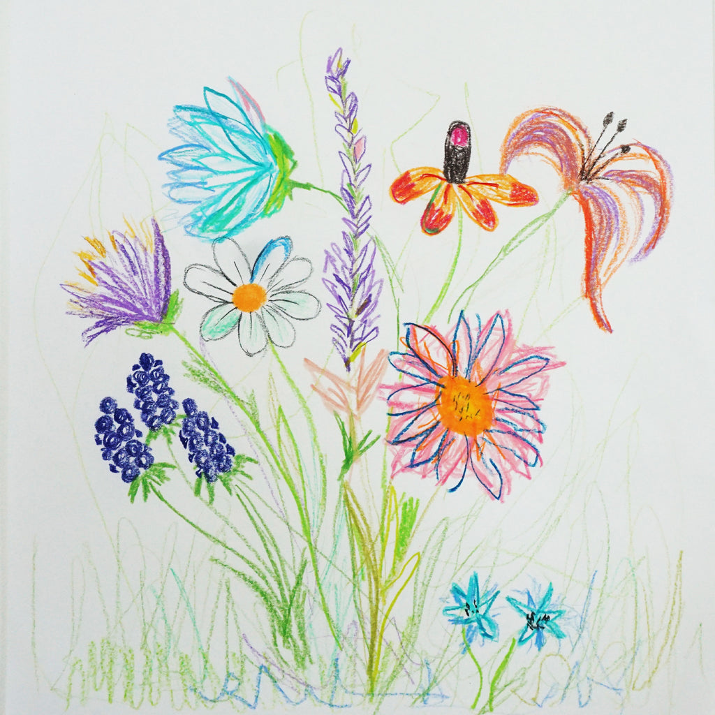 Mayflowers