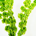 Spring Greens IV