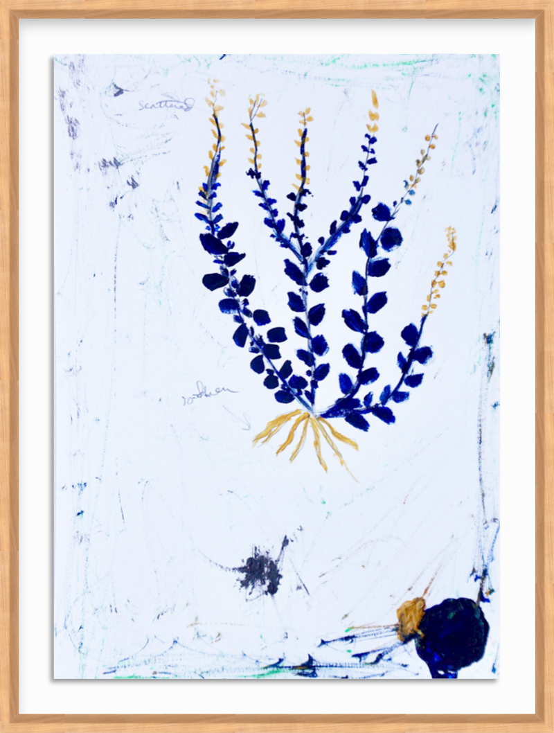 Indigo