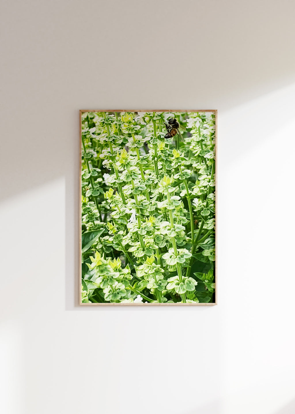 Basil Bumble