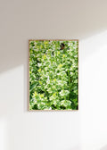 Basil Bumble