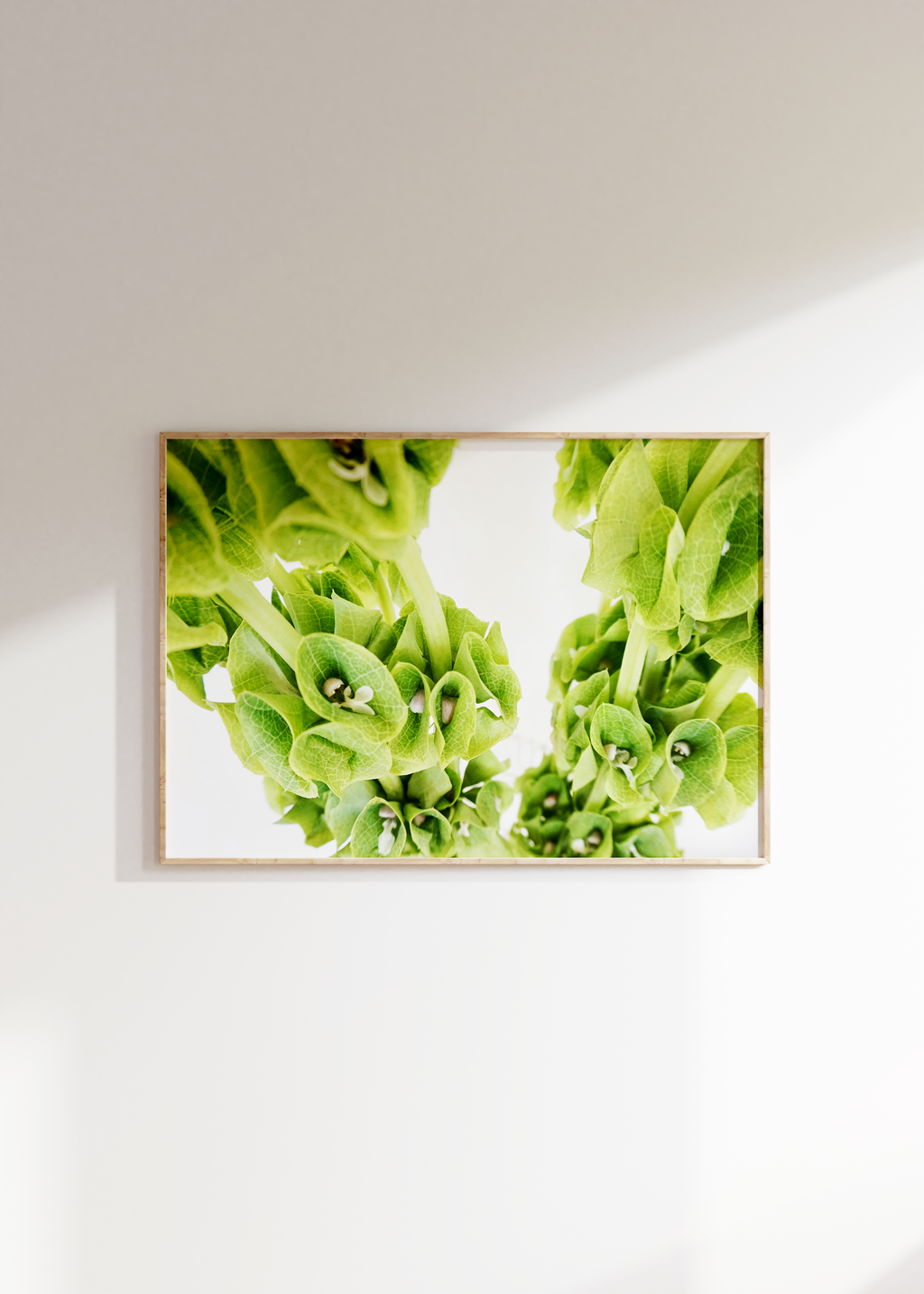 Spring Greens II