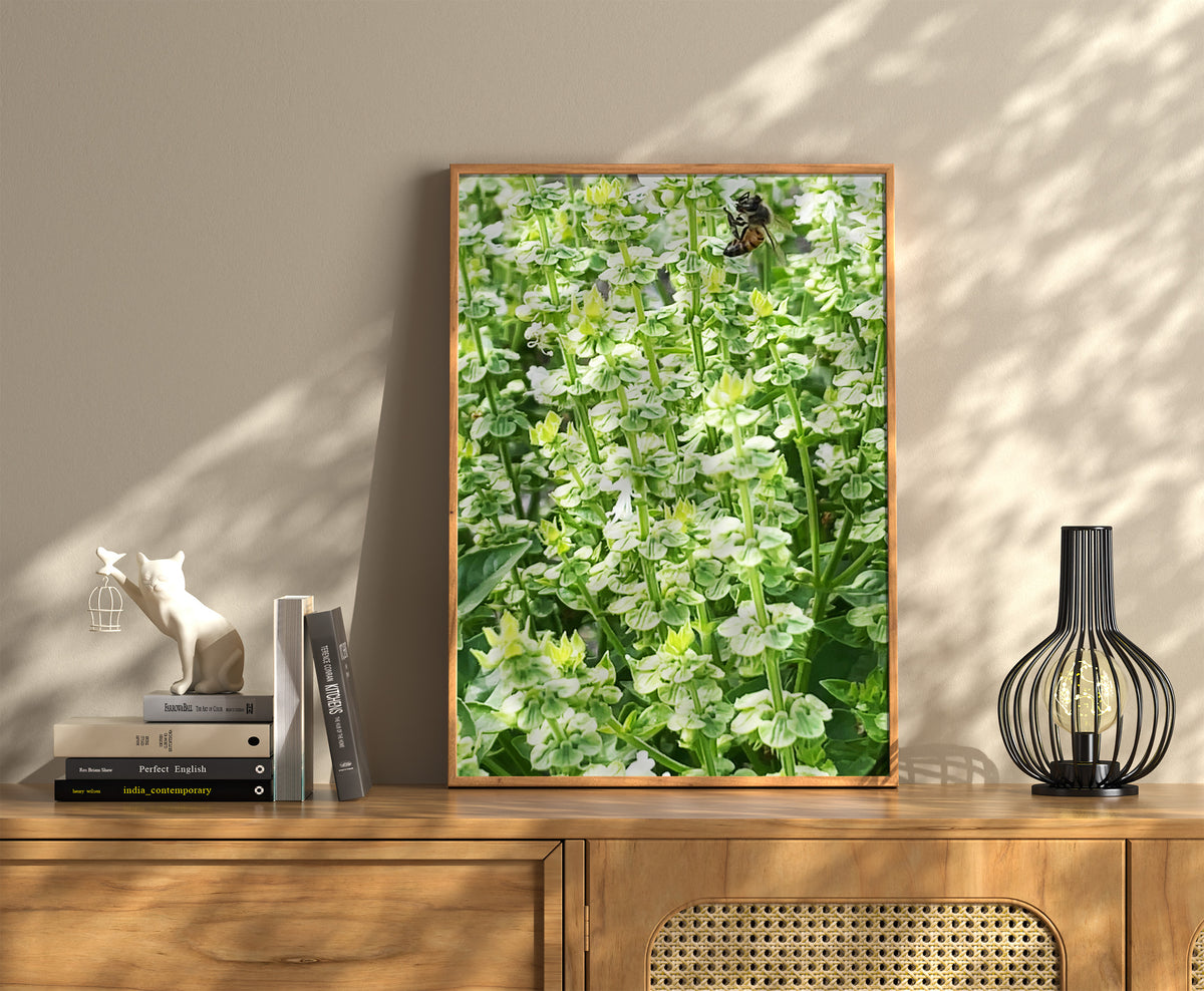 Basil Bumble