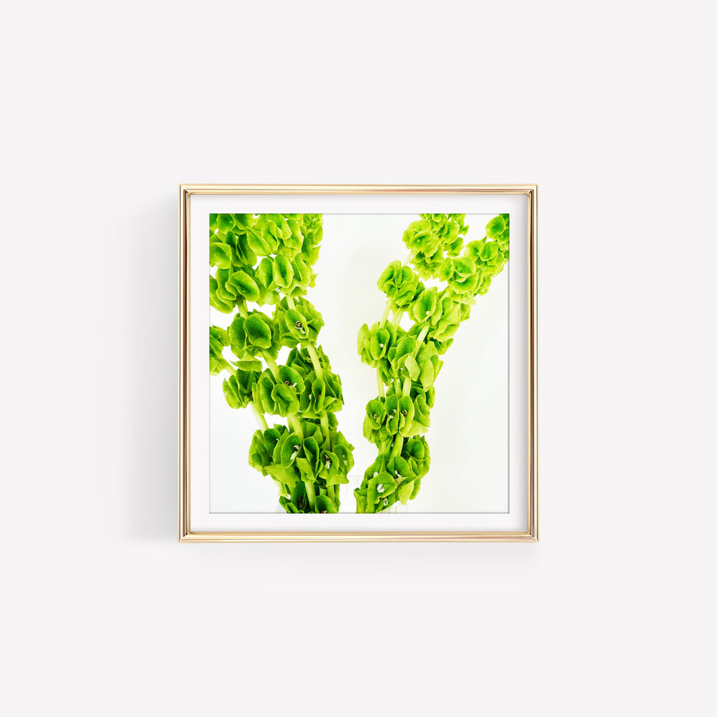 Spring Greens IV