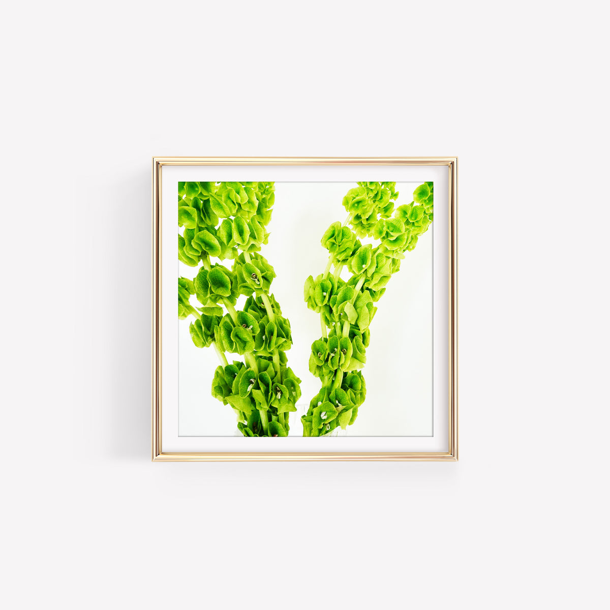 Spring Greens IV