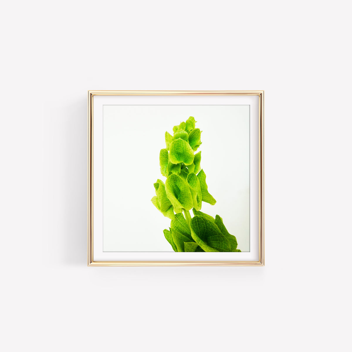 Spring Greens III