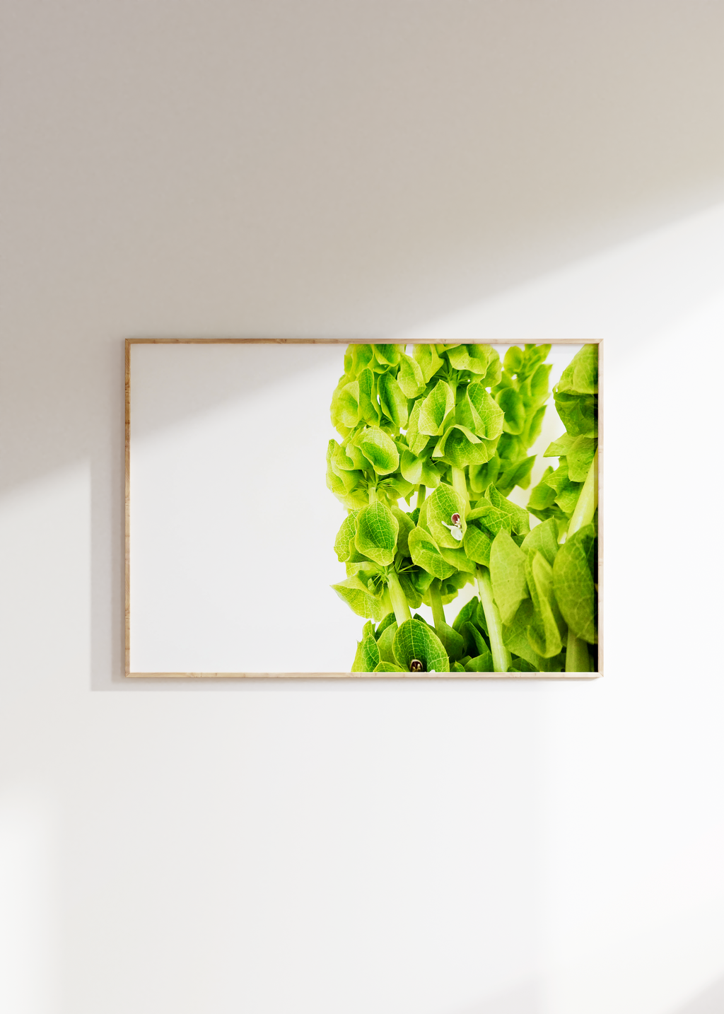 Spring Greens I