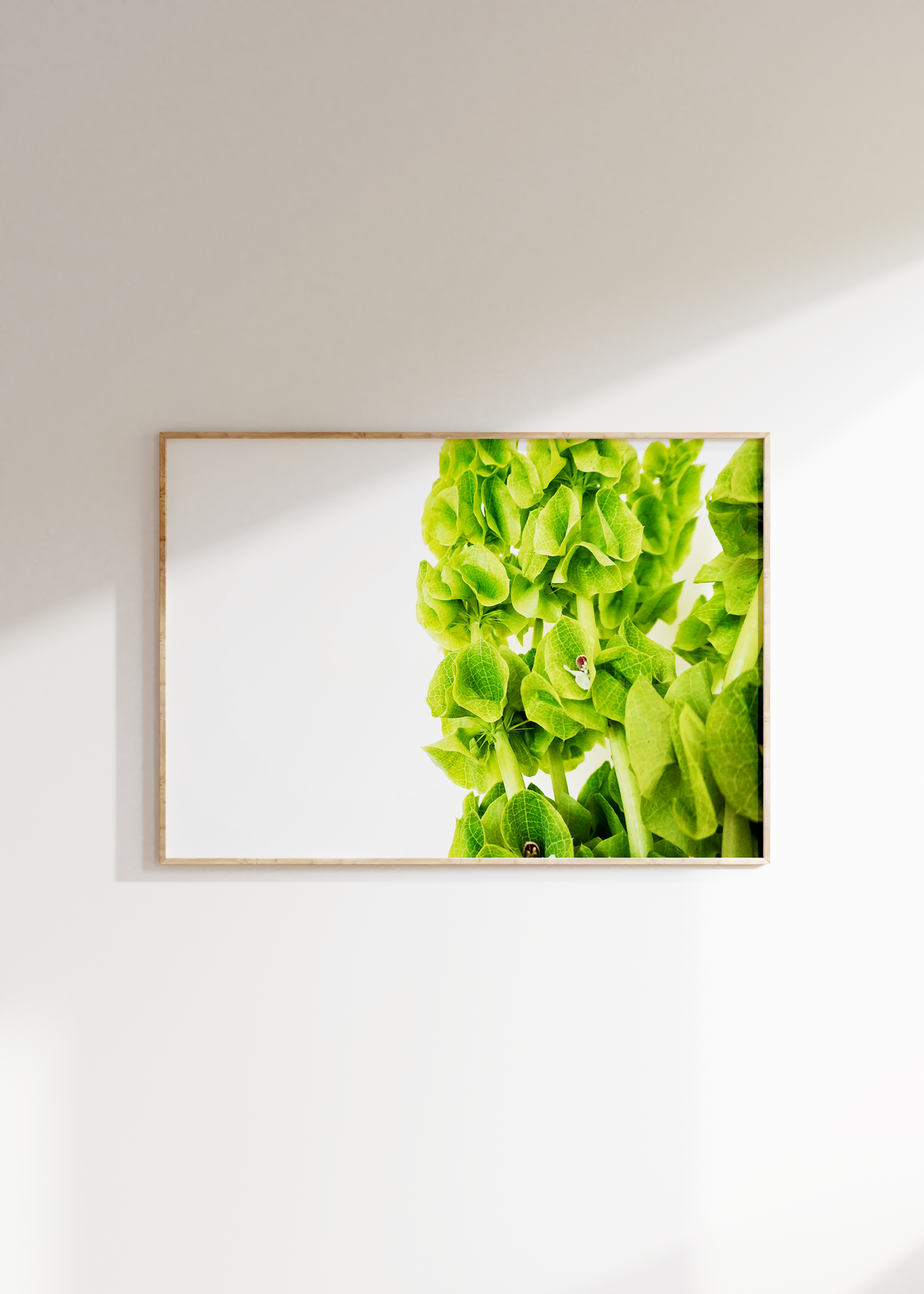 Spring Greens I