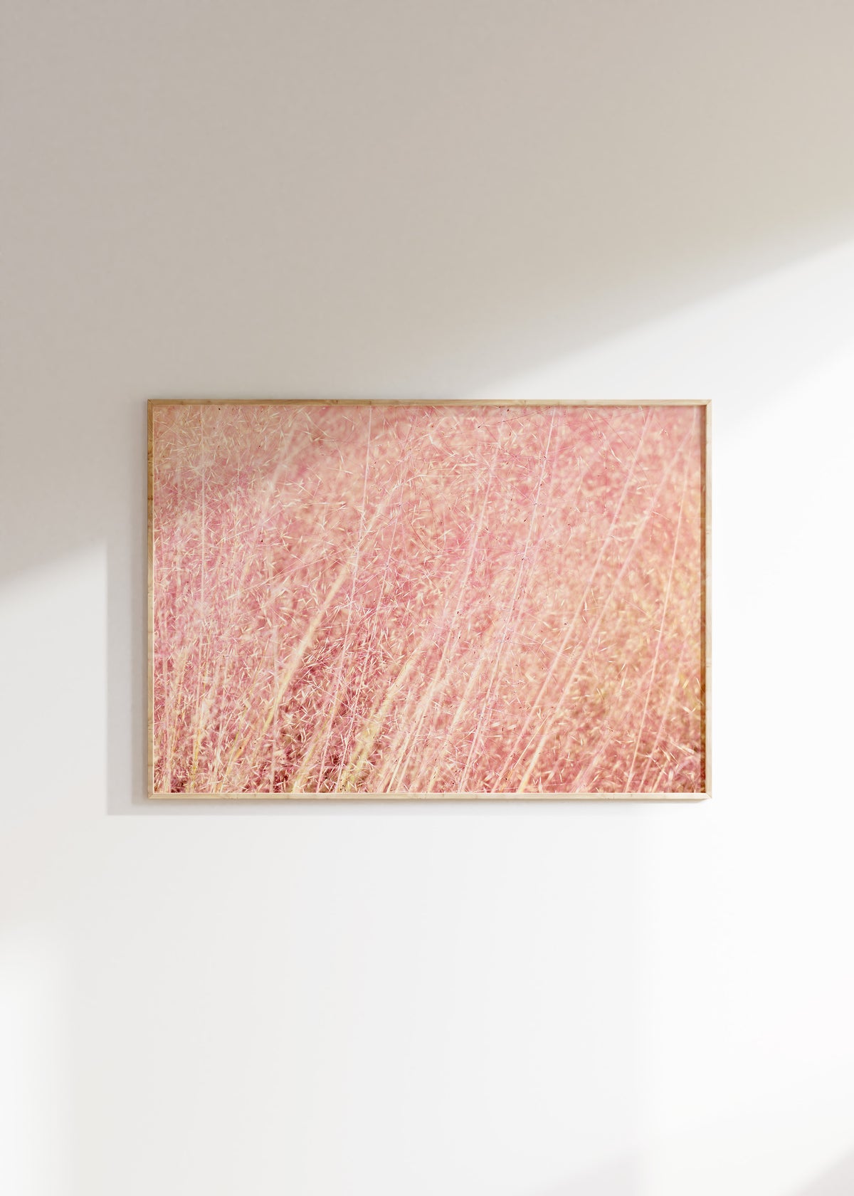 Pink Fluff