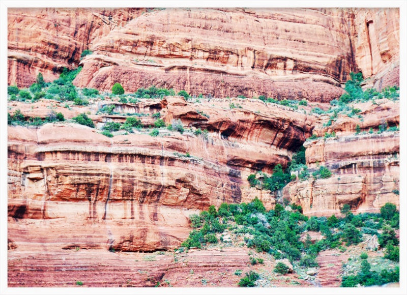 Vivid Rock