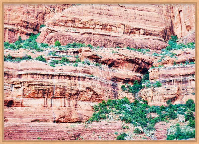 Vivid Rock